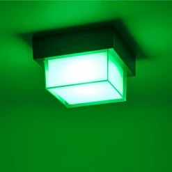 Paul Neuhaus LED Außendeckenleuchte, Q®, Smart Home, ZigBee, weiß o. anthrazit -Wandleuchten Verkaufsladen led auendeckenleuchteq smart homezigbeeweianthrazit 1400071 paulneuhaus