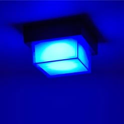 Paul Neuhaus LED Außendeckenleuchte, Q®, Smart Home, ZigBee, weiß o. anthrazit -Wandleuchten Verkaufsladen led auendeckenleuchteq smart homezigbeeweianthrazit 1400072 paulneuhaus