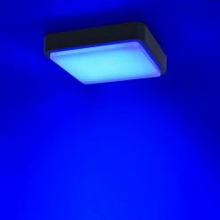 Paul Neuhaus LED Außendeckenleuchte, Smart Home, Q®, eckig, weiß o. anthrazit 10 Paul Neuhaus LED Außendeckenleuchte, Smart Home, Q®, eckig, weiß o. anthrazit -Wandleuchten Verkaufsladen led auendeckenleuchtesmart homeq eckigweianthrazit 1368742 paulneuhaus