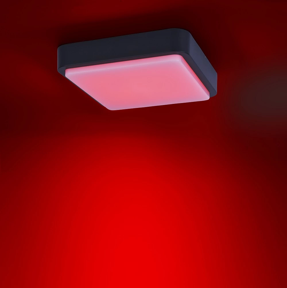 Paul Neuhaus LED Außendeckenleuchte, Smart Home, Q®, eckig, weiß o. anthrazit 6 Paul Neuhaus LED Außendeckenleuchte, Smart Home, Q®, eckig, weiß o. anthrazit – Bild 6