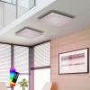Paul Neuhaus LED Deckenleuchte, Smart Home, Q®, Alexa tauglich, ZigBee, dimmbar