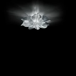 Slamp Designerleuchte New Etoile Celing