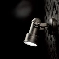 Robers Leuchten Strahler 1-flg. Industriedesign in Eisen-natur